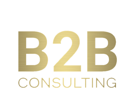 b2b-consulting.pro